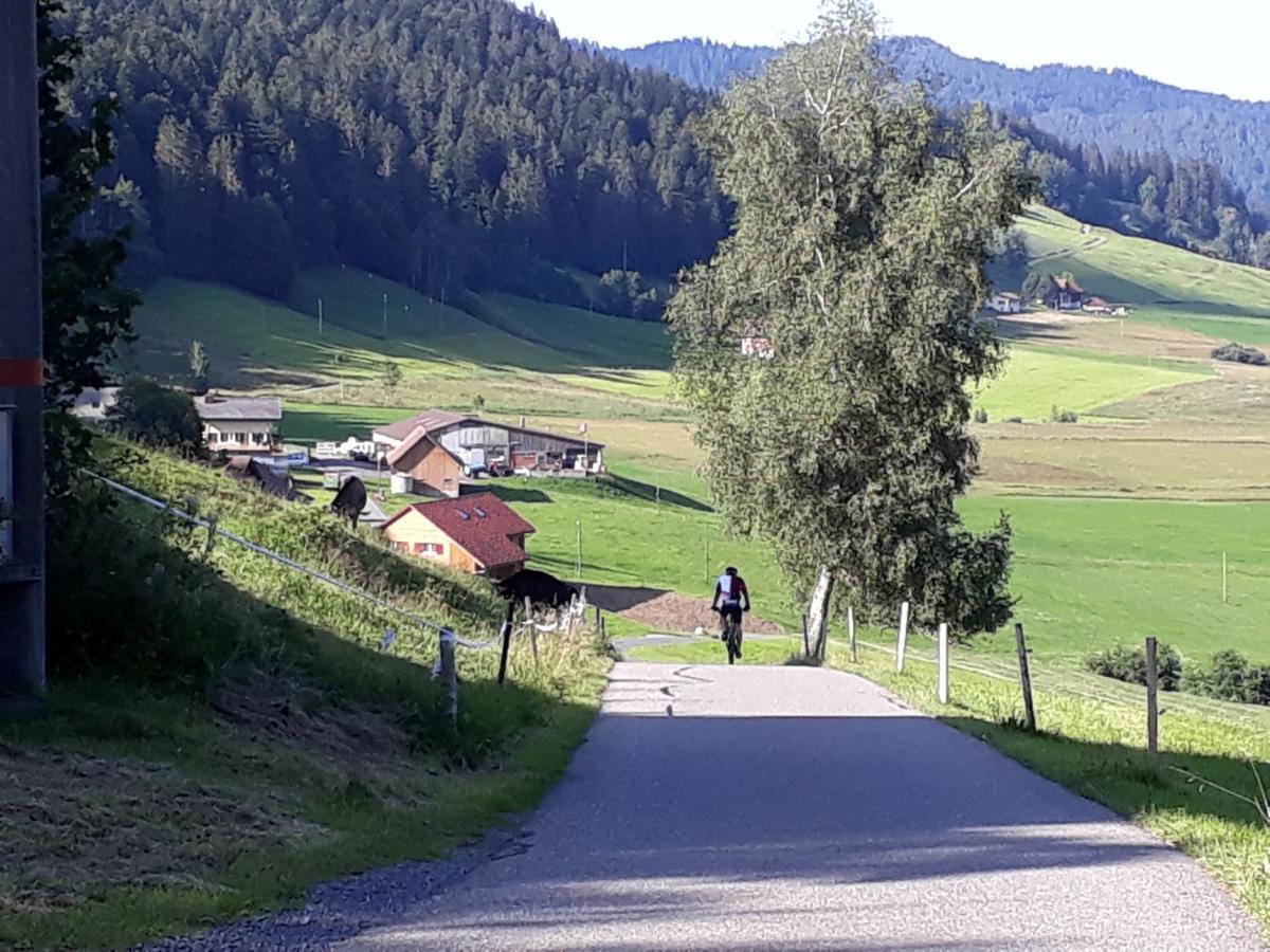 Gaestezimmer Im Dorfzentrum Rothenthurm Eksteriør billede